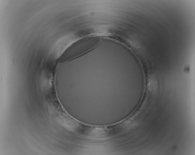 X0000111641161200908141400