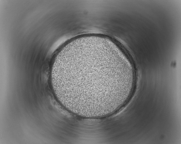 X0000111641163200908141400