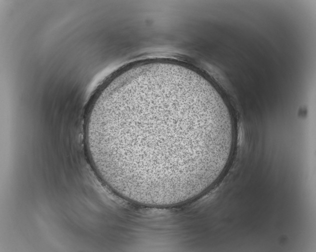 X0000111641164200908141400