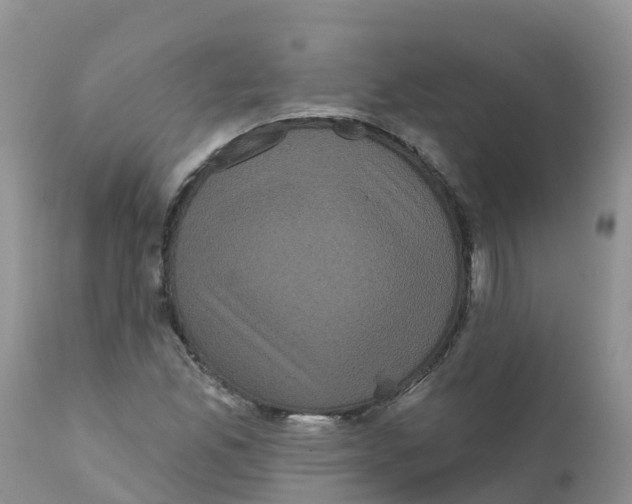 X0000111641165200908141400