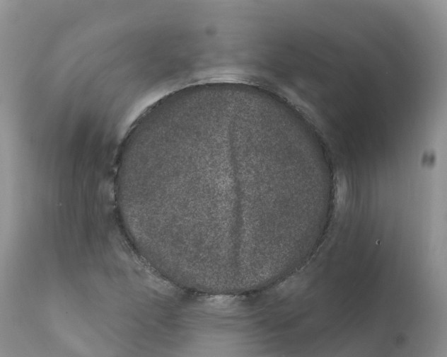X0000111641166200908141400