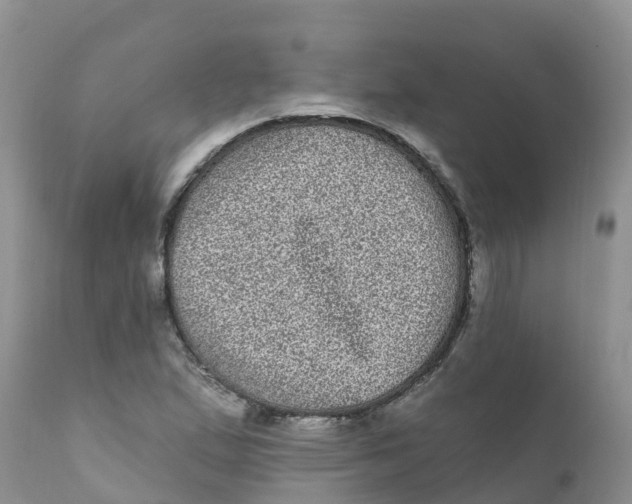 X0000111641167200908141400
