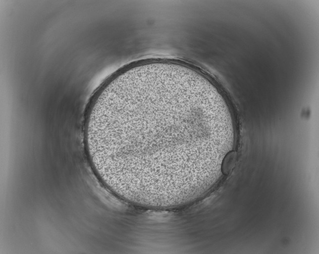 X0000111641168200908141400
