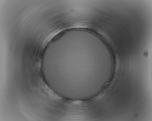 X0000111641169200908141400