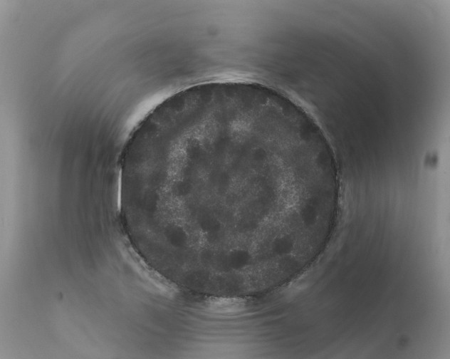 X0000111641171200908141400