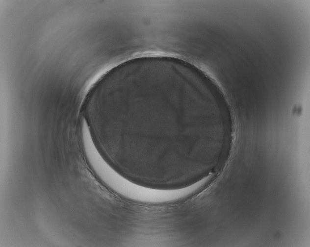 X0000111641173200908141400