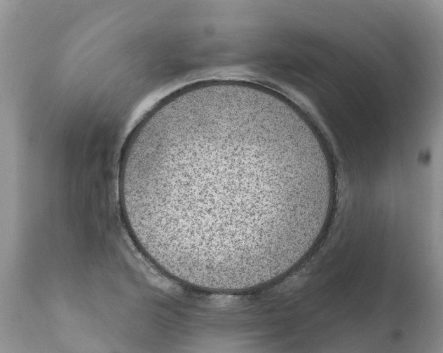 X0000111641176200908141400
