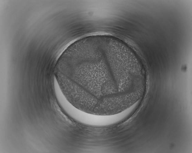 X0000111641177200908141400