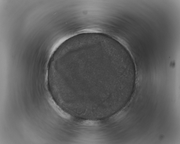 X0000111641179200908141400