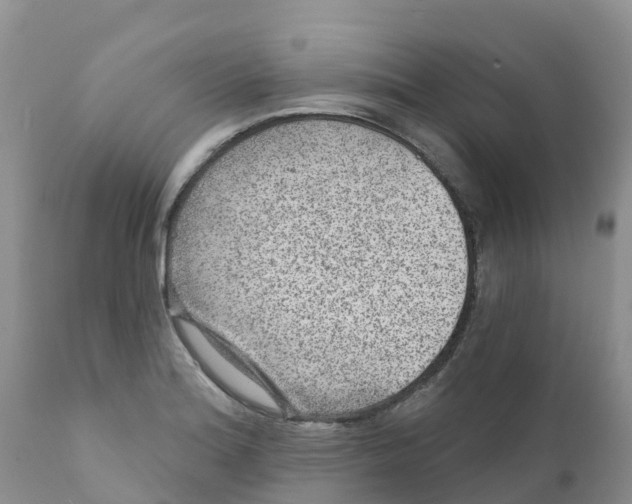 X0000111641180200908141400