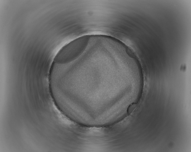 X0000111641181200908141400