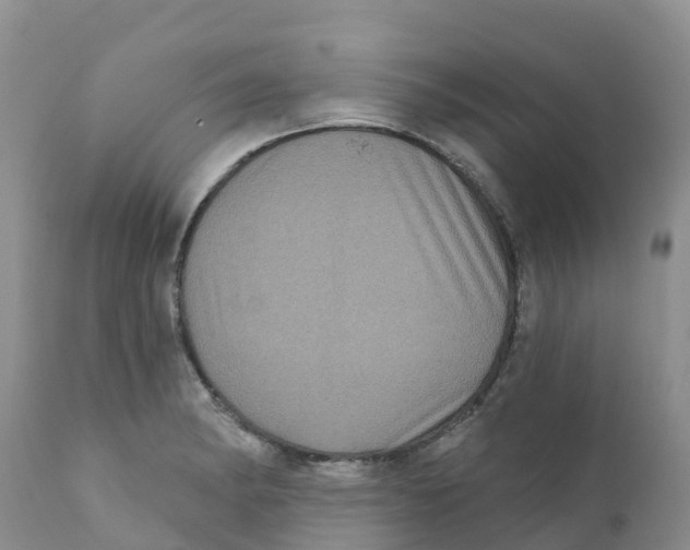X0000111641182200908141400
