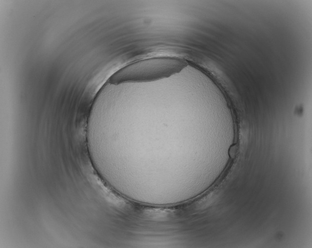 X0000111641185200908141400