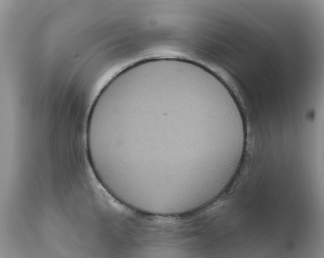 X0000111641191200908141400
