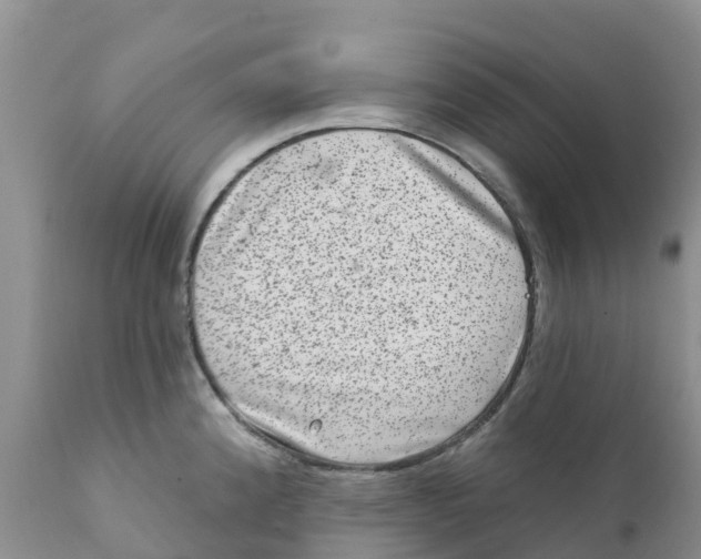 X0000111641192200908141400