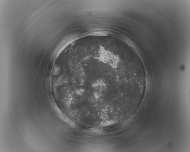 X0000111641194200908141400