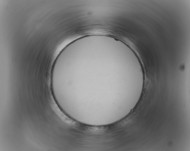X0000111641195200908141400