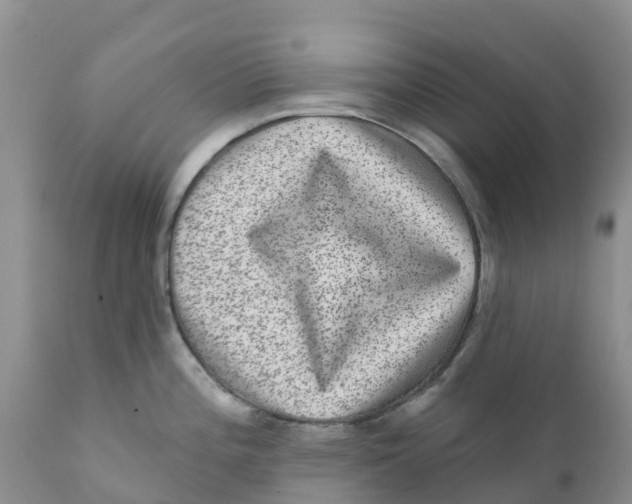 X0000111641196200908141400
