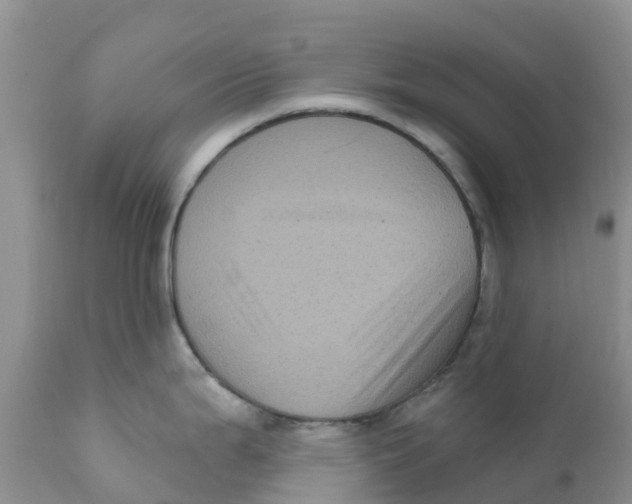 X0000111641199200908141400