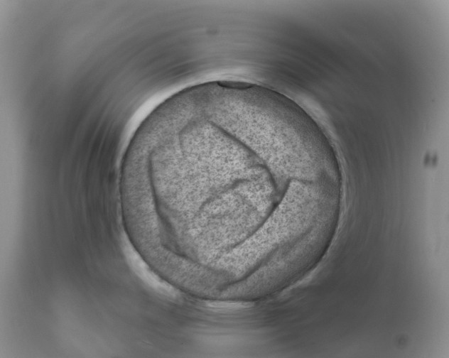 X0000111641200200908141400