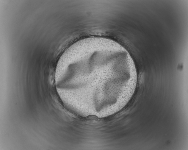 X0000111641202200908141359