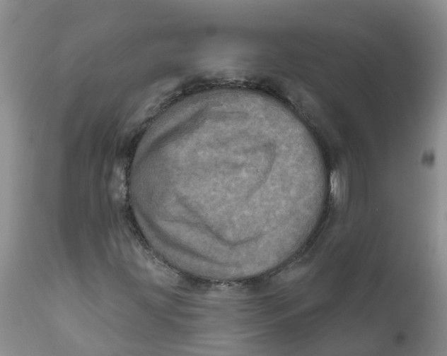 X0000111641203200908141359