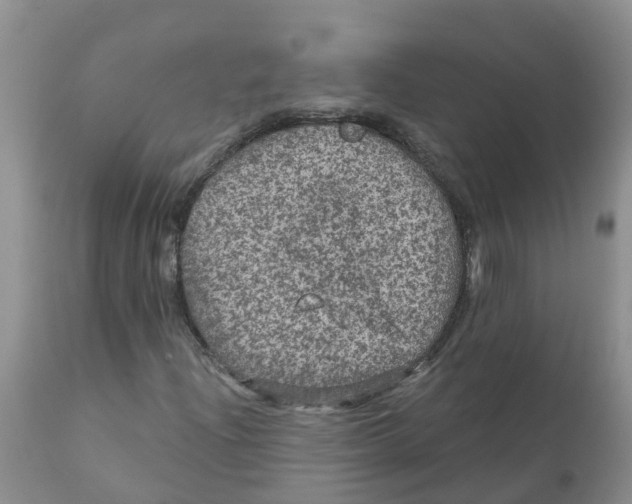X0000111641204200908141359