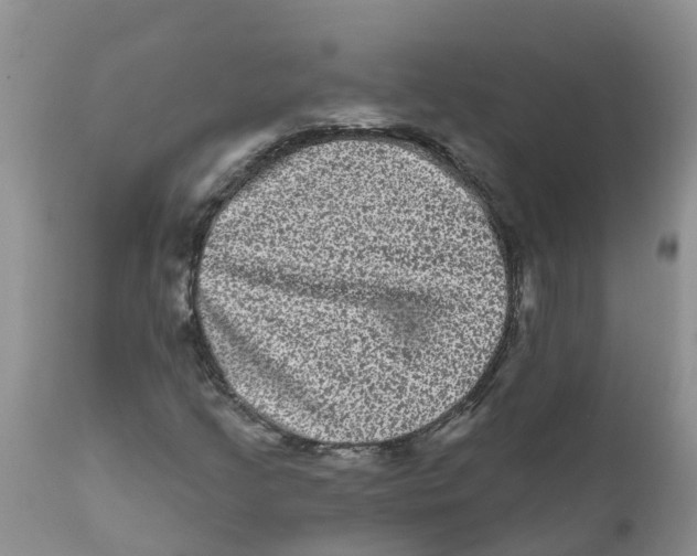 X0000111641205200908141359