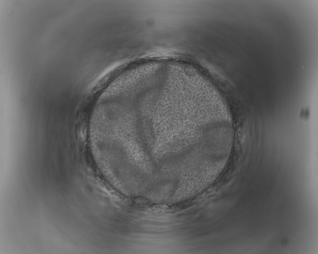 X0000111641206200908141359