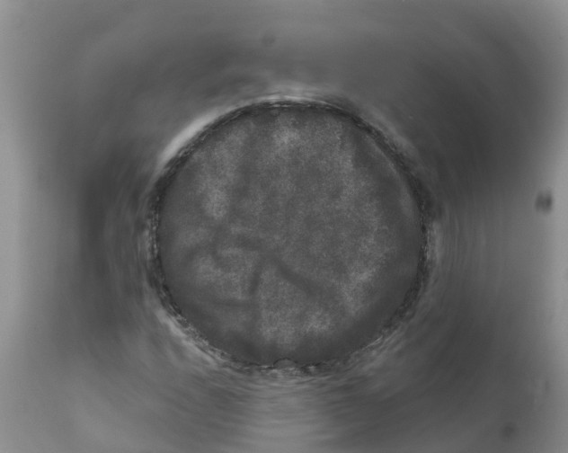 X0000111641208200908141359