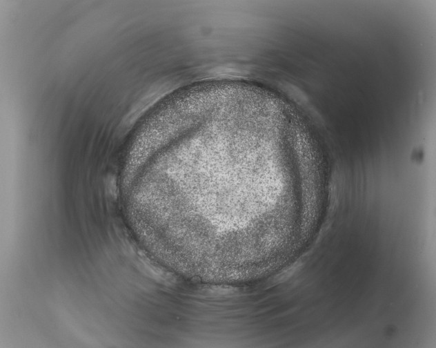 X0000111641209200908141359