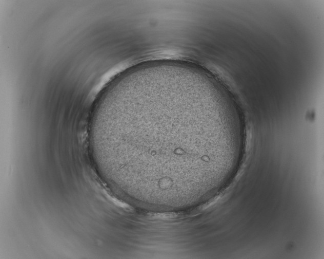 X0000111641210200908141359