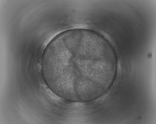 X0000111641212200908141359