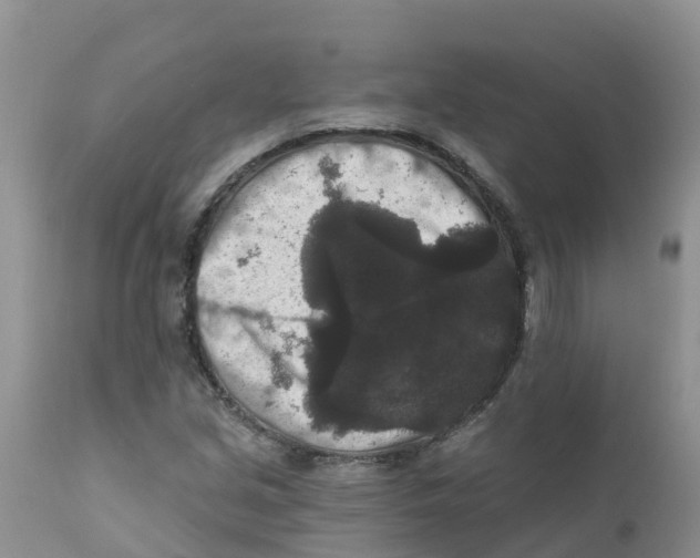 X0000111641213200908141359