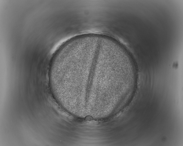 X0000111641214200908141359