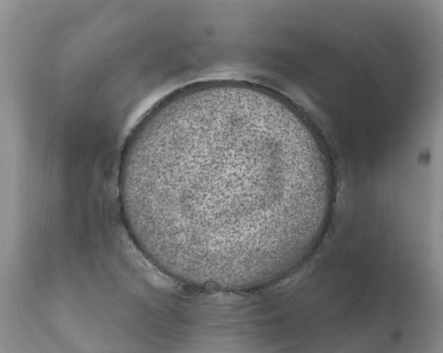 X0000111641216200908141359