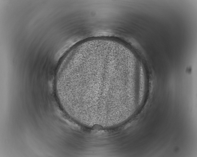 X0000111641217200908141359