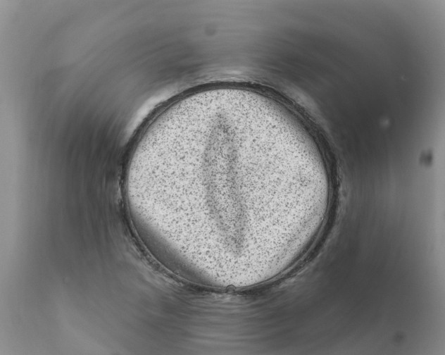 X0000111641218200908141359