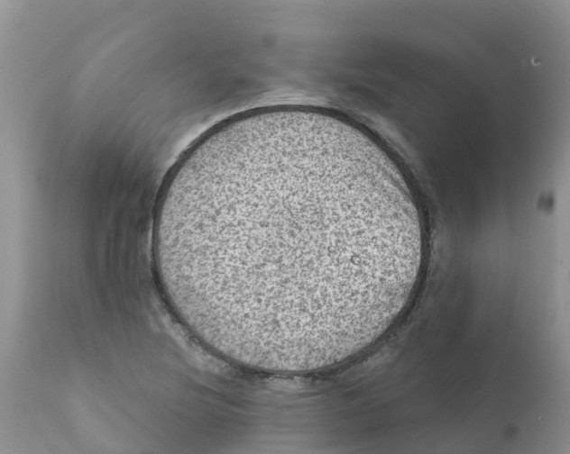 X0000111641220200908141359