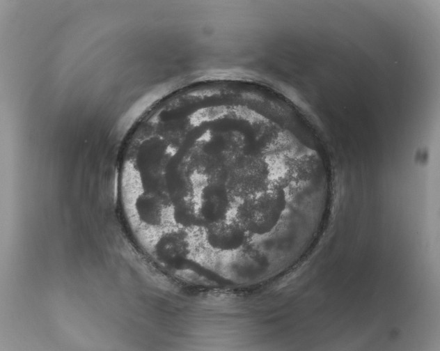 X0000111641221200908141359