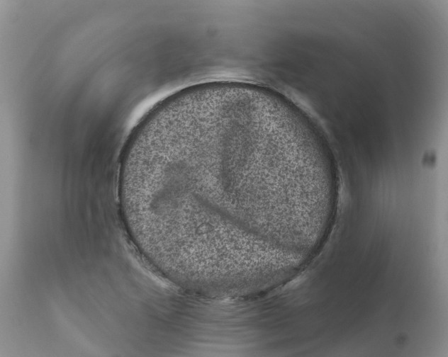 X0000111641222200908141359
