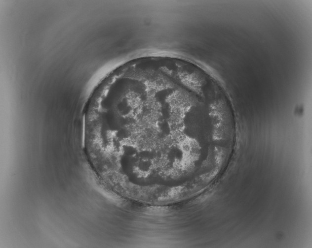 X0000111641223200908141359