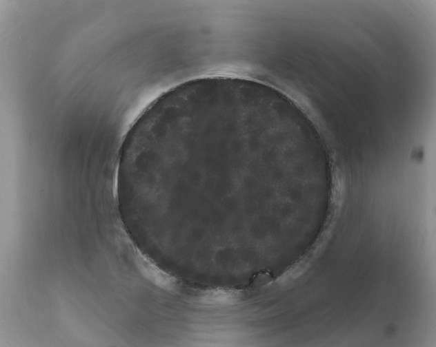 X0000111641224200908141359
