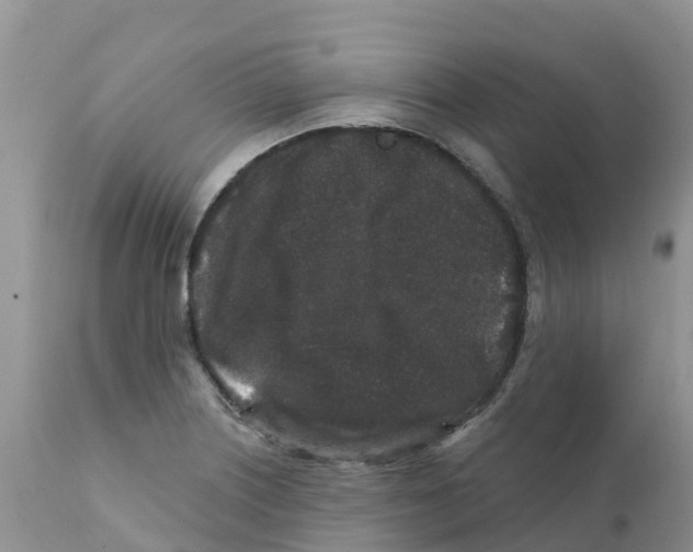 X0000111641226200908141359
