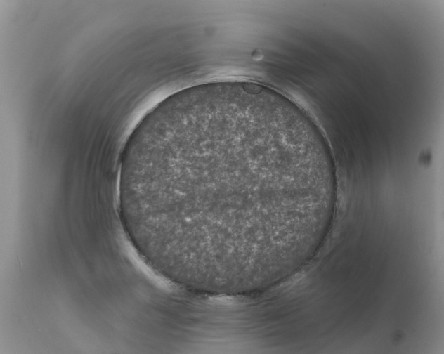 X0000111641227200908141359