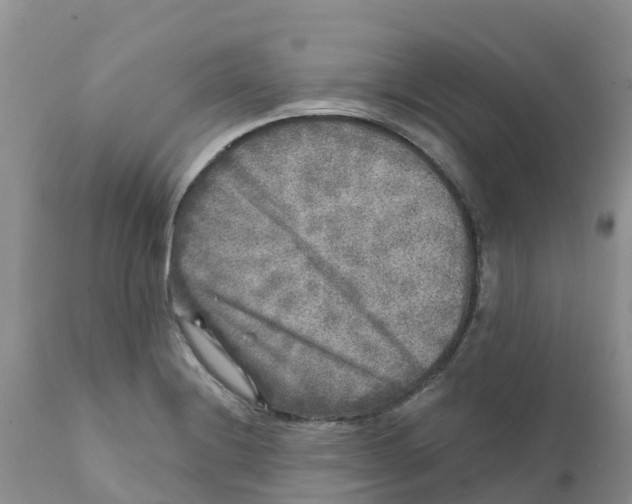 X0000111641228200908141359