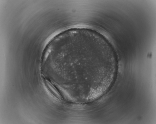 X0000111641229200908141359