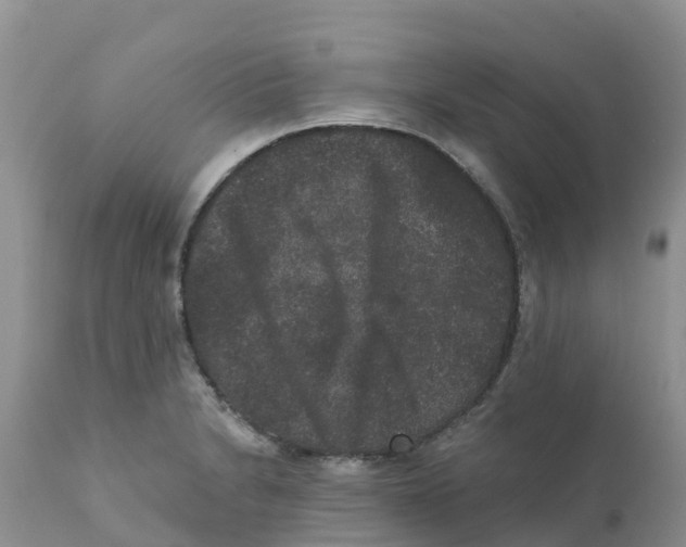 X0000111641230200908141359