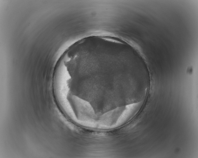 X0000111641231200908141359