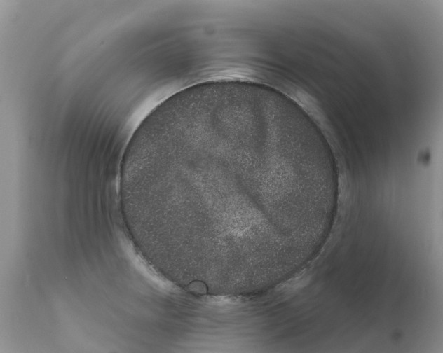 X0000111641234200908141359